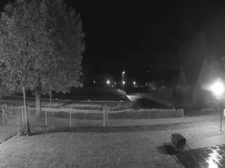 Pastoral Front Yard View with Goat Pen