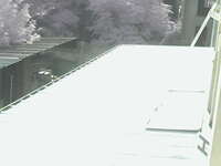 Roof tops