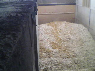 Wood Chip Cam