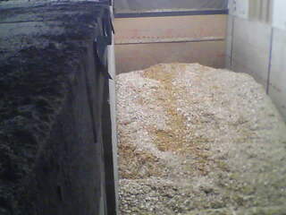 Wood Chip Cam