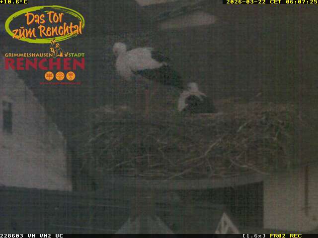 Webcam in Rostock,Germany