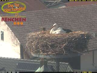 Webcam in Rostock,Germany