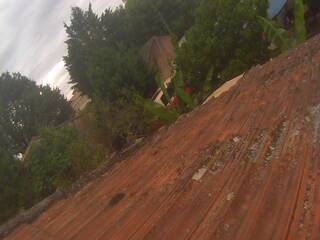 Roof Top