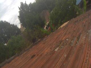 Roof Top