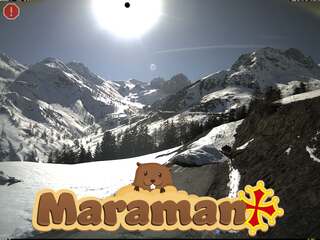 Maraman