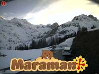 Maraman