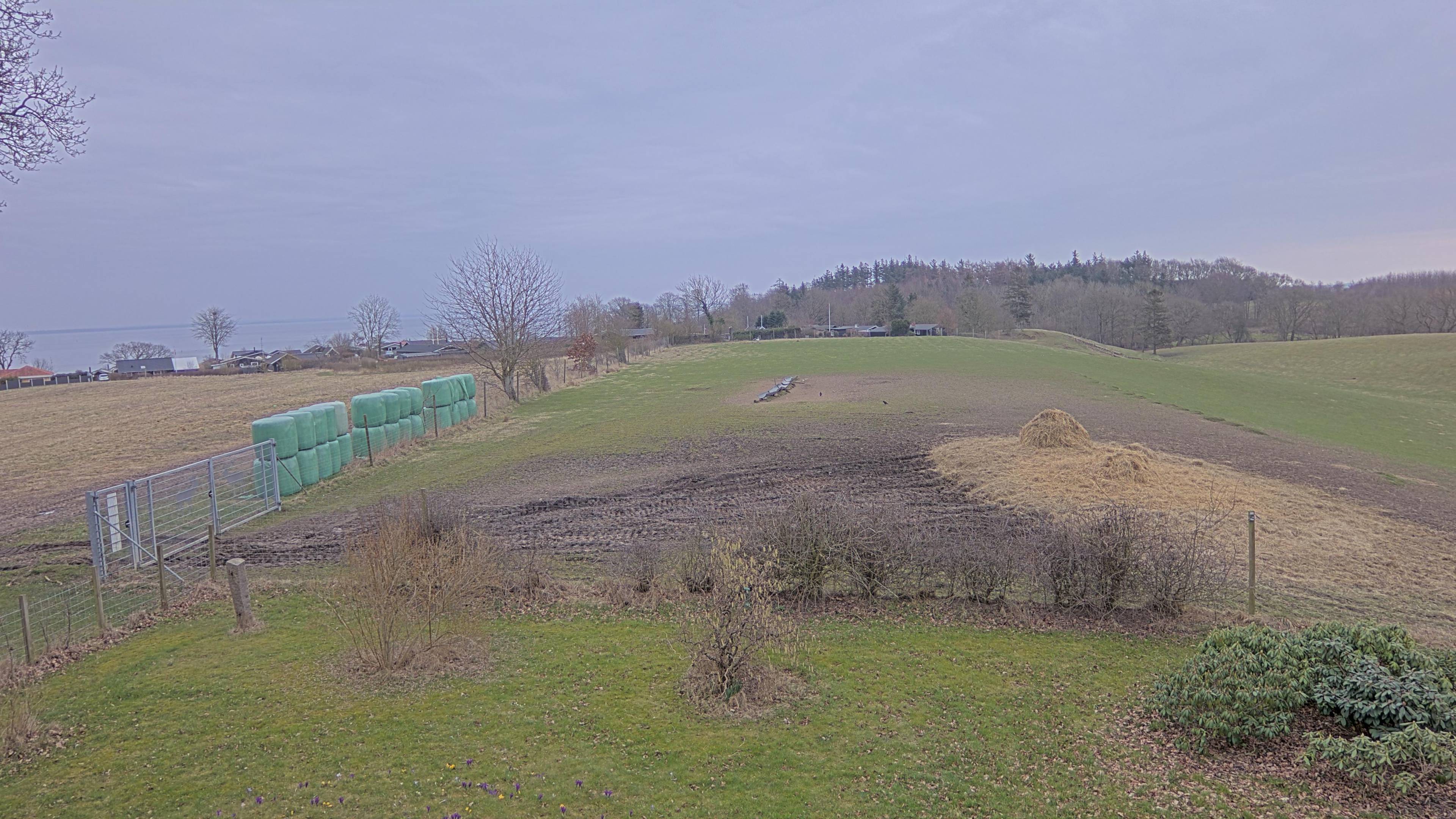 Webcam in Haderslev,Denmark