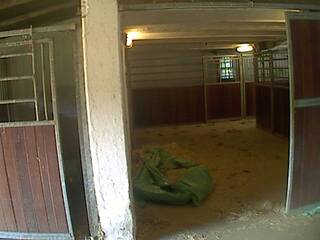 Horse Barn