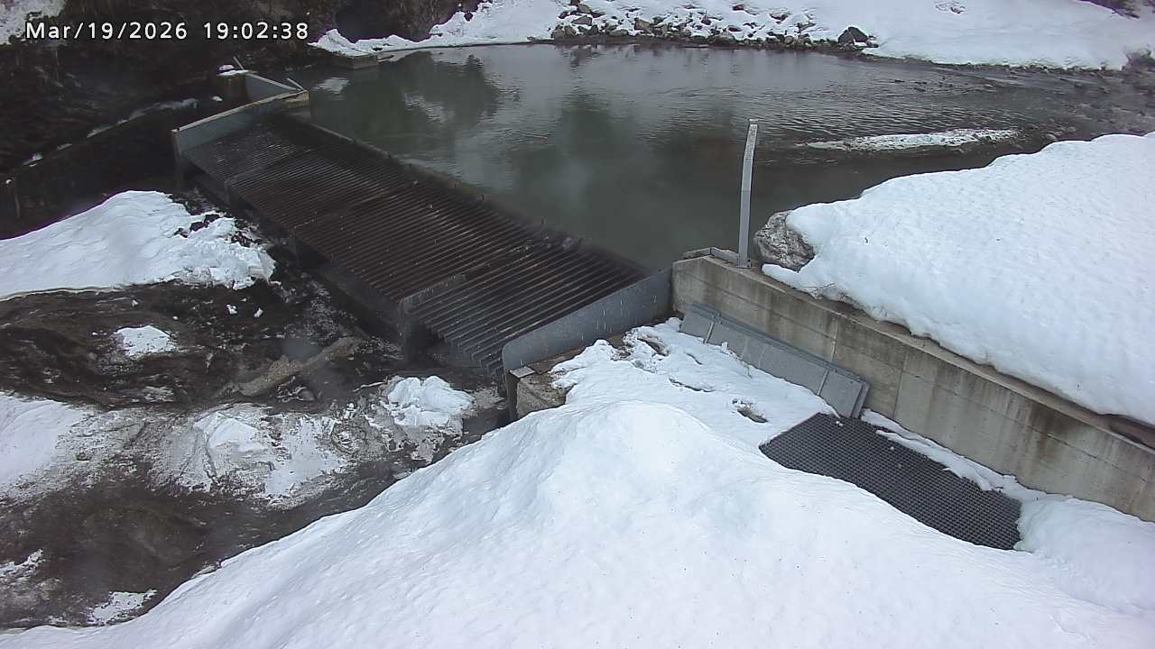 Webcam in Trebaseleghe,Italy
