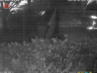 Security webcam