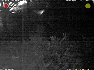 Security webcam