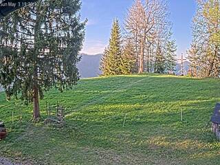 Hill side view