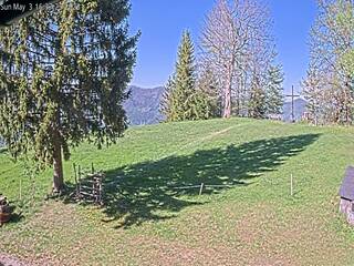 Hill side view