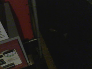 Webcam in Tokyo,Japan