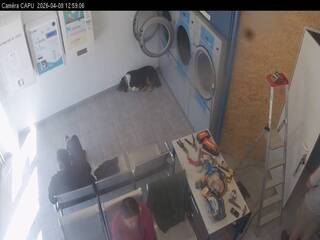 Laundry Facility