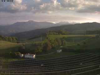 Vineyard