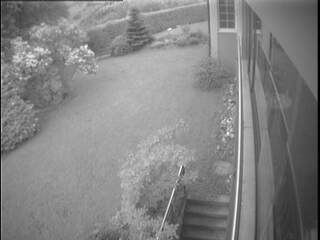 Back Yard Cam View