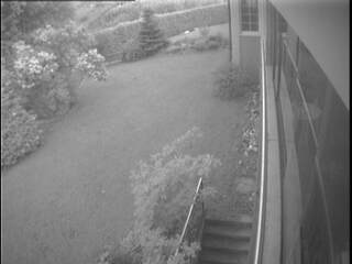 Back Yard Cam View