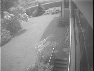 Back Yard Cam View