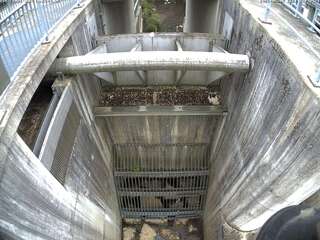 Water Drainage