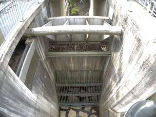 Water Drainage