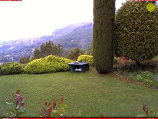 Mountain View with Cypress Trees