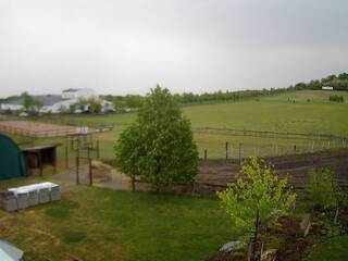 Livestock Farm With Run-In Shed
