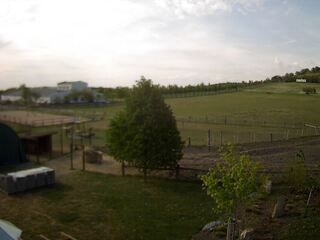 Livestock Farm With Run-In Shed