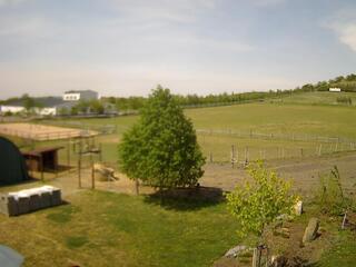 Livestock Farm With Run-In Shed