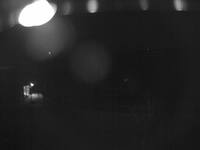 Livestock Farm With Run-In Shed