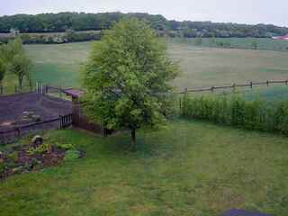 Farm With Livestock and Run-In Shed