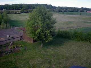 Farm With Livestock and Run-In Shed