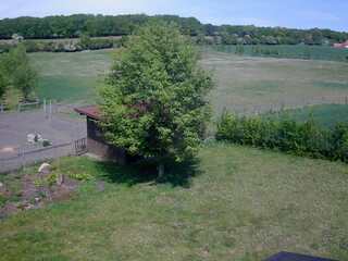 Farm With Livestock and Run-In Shed