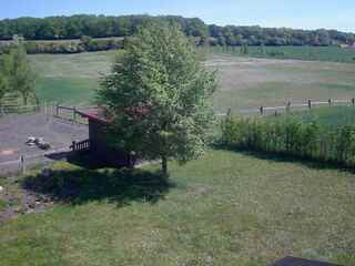 Farm With Livestock and Run-In Shed