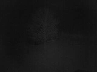 Farm With Livestock and Run-In Shed