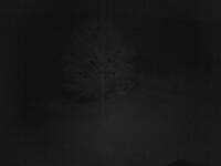 Farm With Livestock and Run-In Shed