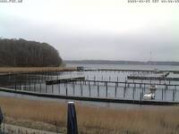 Flensburger Sailing Club