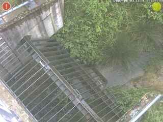 Drainage ditch