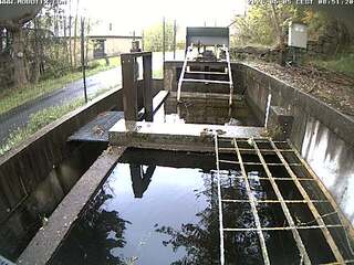 Water Drainage