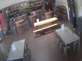 Wine Tasting Cafe