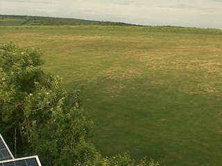 Green Field