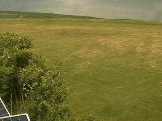 Green Field