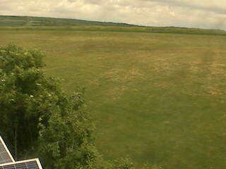 Green Field