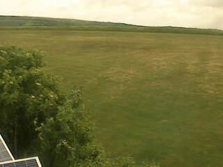 Green Field