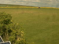 Green Field
