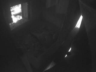 Pigeon Nest