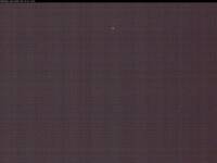 Winter Park Martinky