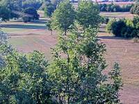 Golf Course