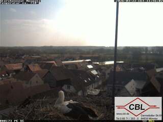 Webcam in Germany