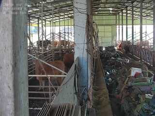 Webcam in Jinju,South Korea